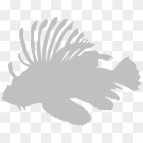 Lionfish Icon , Png Download - Lionfish Clipart Black And White Png