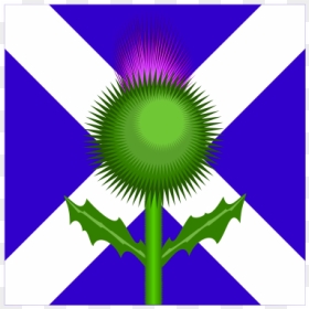 Scottish Thistle And Flag Vector Image - Scotland Flag And Thistle, HD Png Download - scottish flag png
