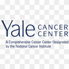 Yale Cancer Center Logo, HD Png Download - yale university logo png