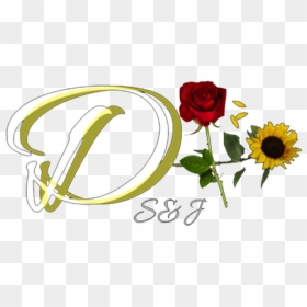 Picture - Garden Roses, HD Png Download - teardrop emoji png
