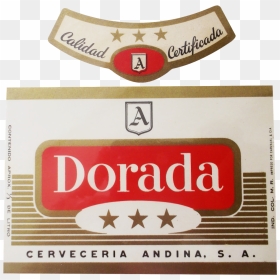 Cerveza Dorada 5 Estrellas, HD Png Download - estrellas doradas png
