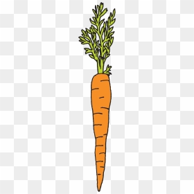 Carrot Dibujo, HD Png Download - zanahoria png