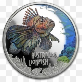 Wall Clock, HD Png Download - lionfish png