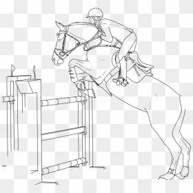 Horse Bridle Show Jumping Equestrian - Horse Show Jumping Drawing, HD Png Download - jumper png