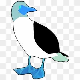Seymour Jewels - Penguin, HD Png Download - estrellas doradas png