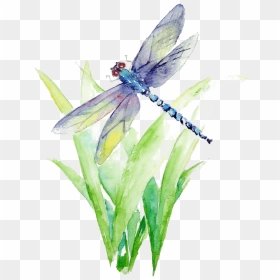 Blue And Purple Dragonfly Illustration Watercolor Painting - Watercolor Painting Dragonfly, HD Png Download - dragon fly png