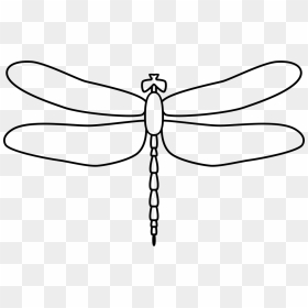 Dragonfly - Black And White Dragonfly Outline Png, Transparent Png - dragon fly png