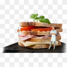 Olymel Brings To You 365 Days Of Sandwiches - Fast Food, HD Png Download - sandwiches png