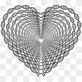 Dna Helix Heart Tunnel Clip Arts - Heart Doily Clipart Black And White, HD Png Download - dna helix png