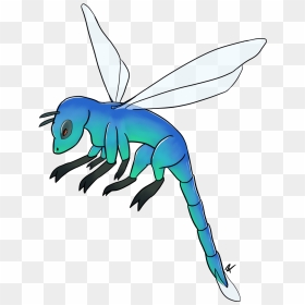 Copy Of Dragon"fly" - Net-winged Insects, HD Png Download - dragon fly png