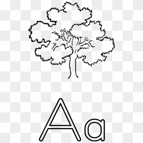 Letra A De Ã¡rbol Clip Arts - Oak Tree Drawing Easy, HD Png Download - zanahoria png