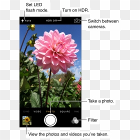 Camera In Photo Mode - Iphone 5s Camera, HD Png Download - iphone camera png