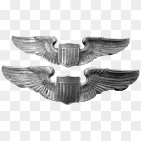 Bald Eagle, HD Png Download - pilot wings png