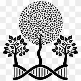 Dna Helix Arboreal - School Of English, HD Png Download - dna helix png