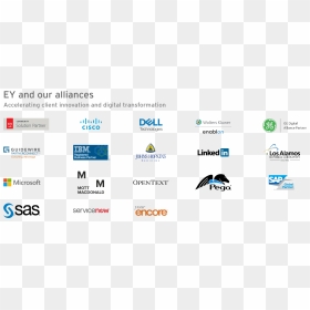 Ey And Our Alliances - Sas Institute, HD Png Download - ey logo png