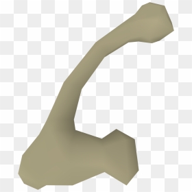 The Runescape Wiki - Curved Bone Osrs, HD Png Download - bone.png