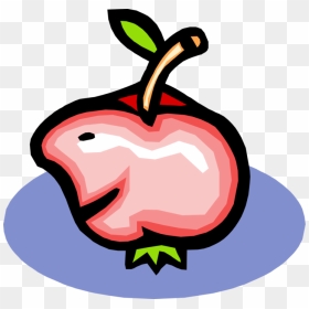 Transparent Apple Vector Png, Png Download - apple vector png