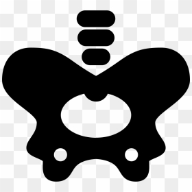 Hip Bone - Hip Bone Clip Art, HD Png Download - bone.png