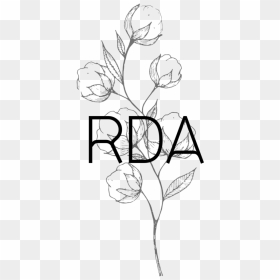 Copy Of Rda-6 - Sketch, HD Png Download - arnold png