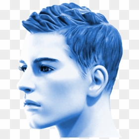 Man Portrait Human Face Head Male Blue Avatar - Portrait, HD Png Download - man face png
