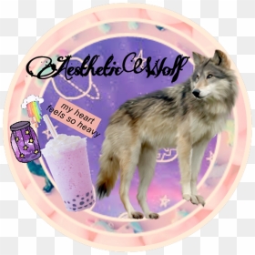 Wolf Icon Aesthetic Rainbow Coffee Jar Stars Galaxy - Portable Network Graphics, HD Png Download - wolf icon png