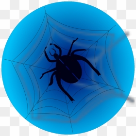 Spider On Web Png Icons - Spider Web, Transparent Png - spider web vector png