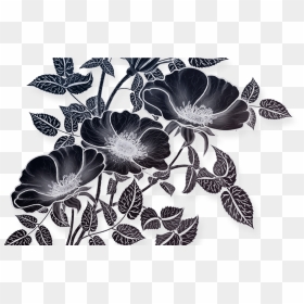 Flowers Drawing Illustration, Png File Vectors Pinterest - Flowers Drawing, Transparent Png - flowers drawing png