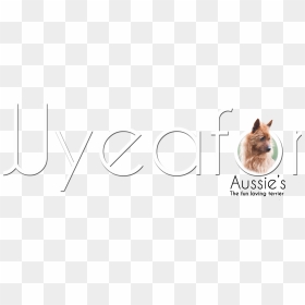 Download Zara Boyle Design - Circle, HD Png Download - zara png