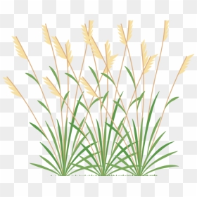 Icon 2 Weeds - Transparent Weeds Png, Png Download - grass icon png