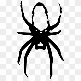 Spider Medium 600pixel Clipart, Vector Clip Art - Gambar Laba Laba Kartun Hitam Putih, HD Png Download - spider web vector png