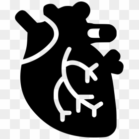 Cardiac Muscle - Medical Heart Icon Png, Transparent Png - muscle icon png
