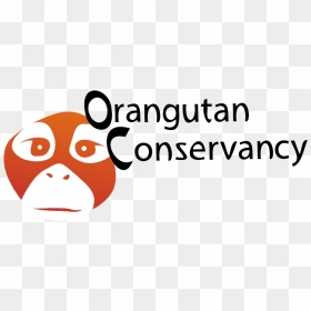 Orangutan Conservancy Logo, HD Png Download - orangutan png