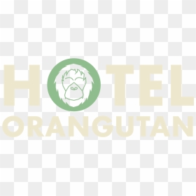 Hotel Orangutan - Canal+, HD Png Download - orangutan png