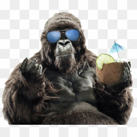 Summer Sunglasses Primate Vacation Gorilla Western - Orang Utan Png, Transparent Png - orangutan png