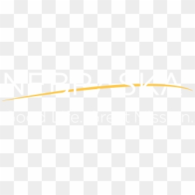 Nebraska Dhhs Logo For Large Screen Width - Nebraska Department Of Health And Human Services, HD Png Download - nebraska logo png