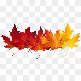Red Autumn Leav Red Autumn Leaves Transparent Clip - Transparent Background Fall Leaves Clip Art, HD Png Download - autumn leaves clip art png