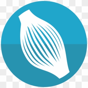 Clip Art, HD Png Download - muscle icon png