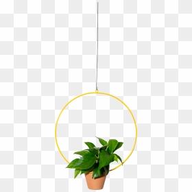 Transparent Planters Png - Circle, Png Download - planters png