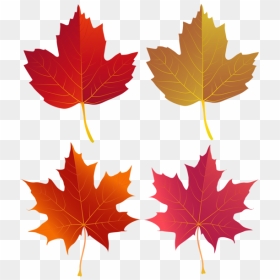 Set Of Autumn Leaves Png Clip Art - Autumn, Transparent Png - autumn leaves clip art png