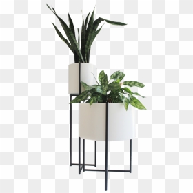 Indoor Potted Plant Png, Transparent Png - planters png
