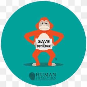 Orangutan , Png Download - Child, Transparent Png - orangutan png