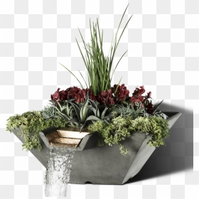 Planters Png, Transparent Png - planters png