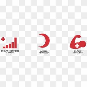 Graphic Design, HD Png Download - muscle icon png
