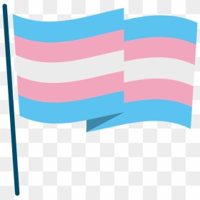 Infographic Of Trans Flag - Flag, HD Png Download - trans flag png