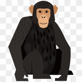 Graphic Royalty Free Chimpanzee Monkey Orangutan Black - Gorillas, HD Png Download - orangutan png