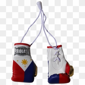 Prolast® Philippines Mini Boxing Gloves, HD Png Download - boxing ring ropes png