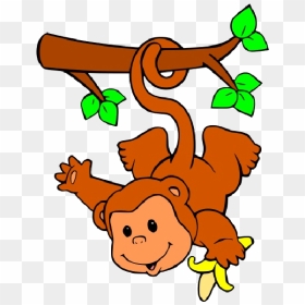 Baby Monkeys Clip Art - Funny Cartoon Images Hd, HD Png Download - orangutan png