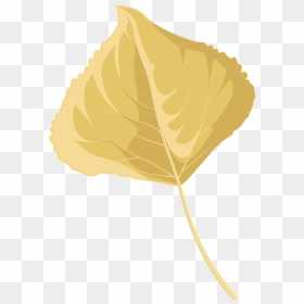 Lombardy Poplar Late Autumn Leaf Clipart - Beech, HD Png Download - autumn leaves clip art png