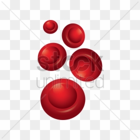 Download Red Blood Cell Vector Clipart Red Blood Cell - Circle, HD Png Download - blood vector png