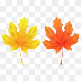 Deco Clipart Leaf - Clip Art, HD Png Download - autumn leaves clip art png